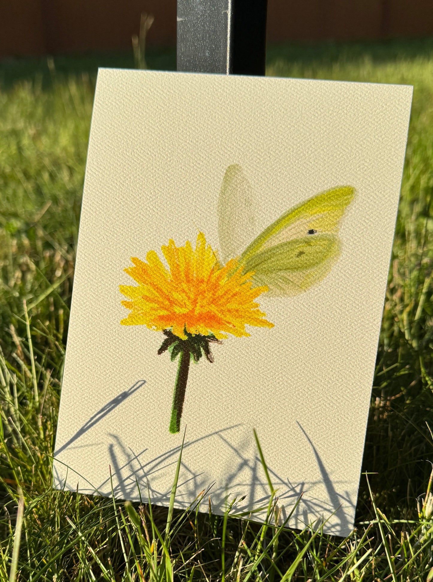 Dandelion Butterfly Art Print