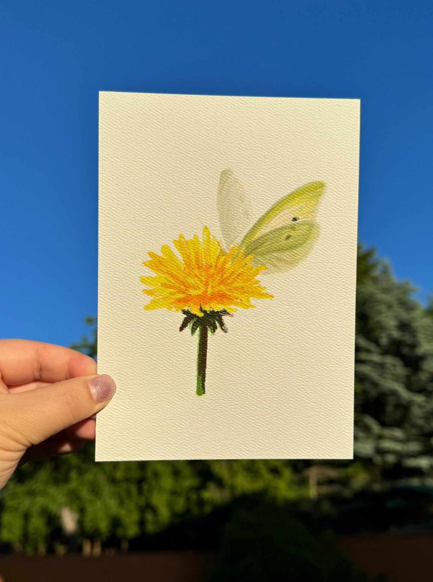 Dandelion Butterfly Art Print