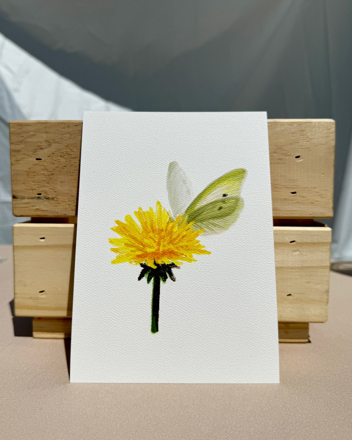 Dandelion Butterfly Art Print