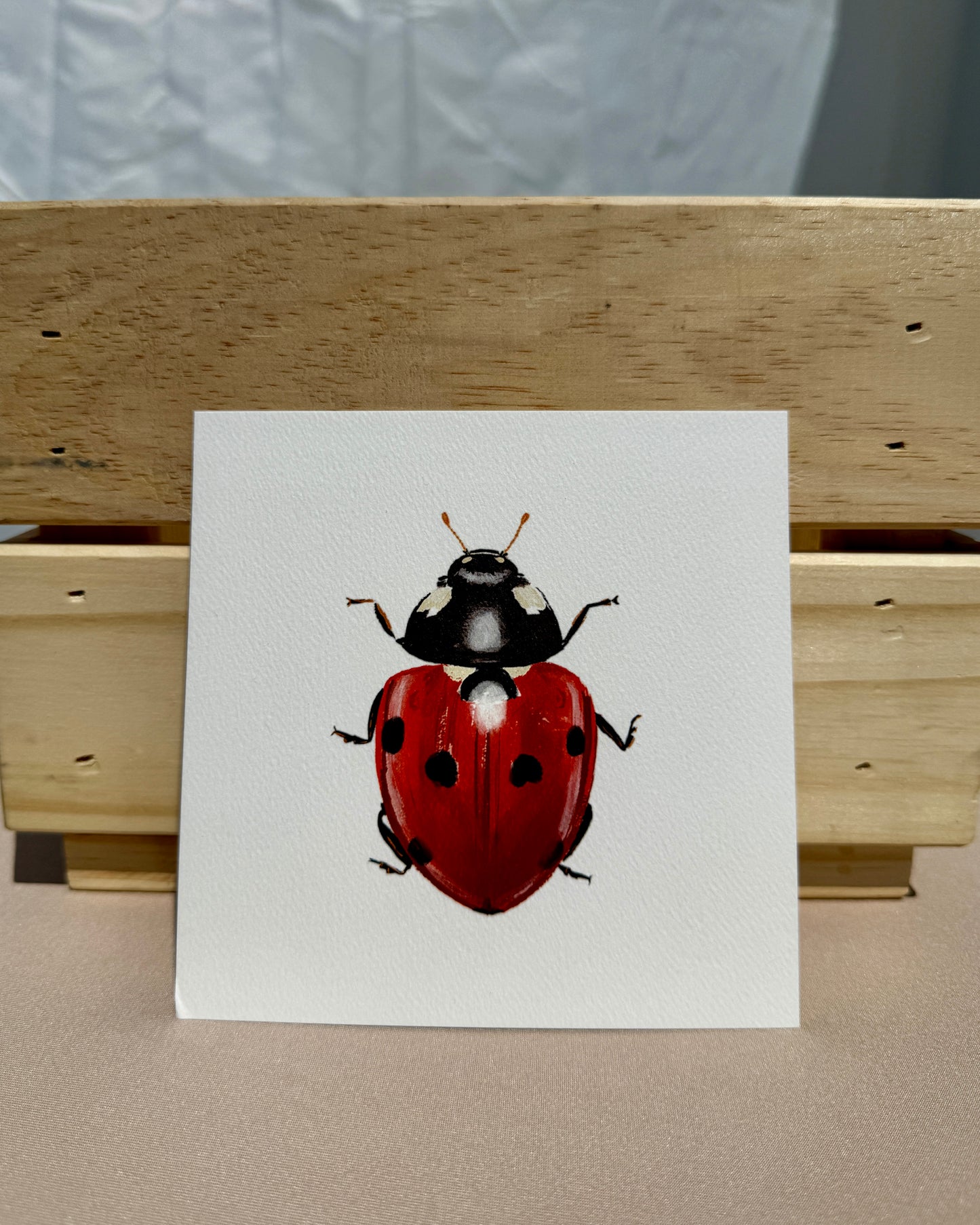 Ladybug Print