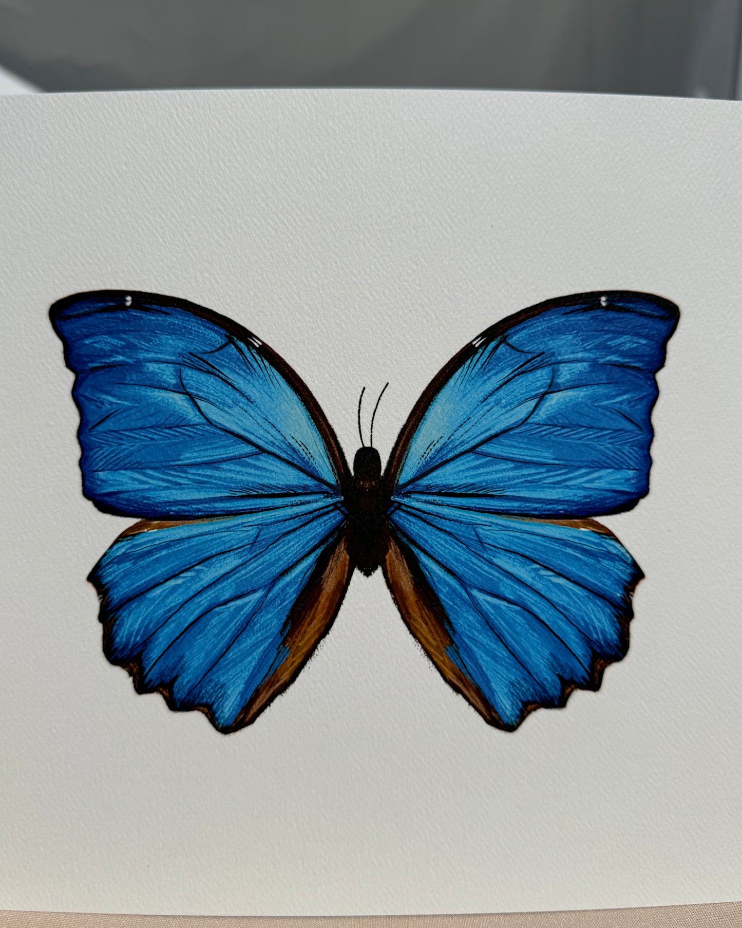 Blue Butterfly Print