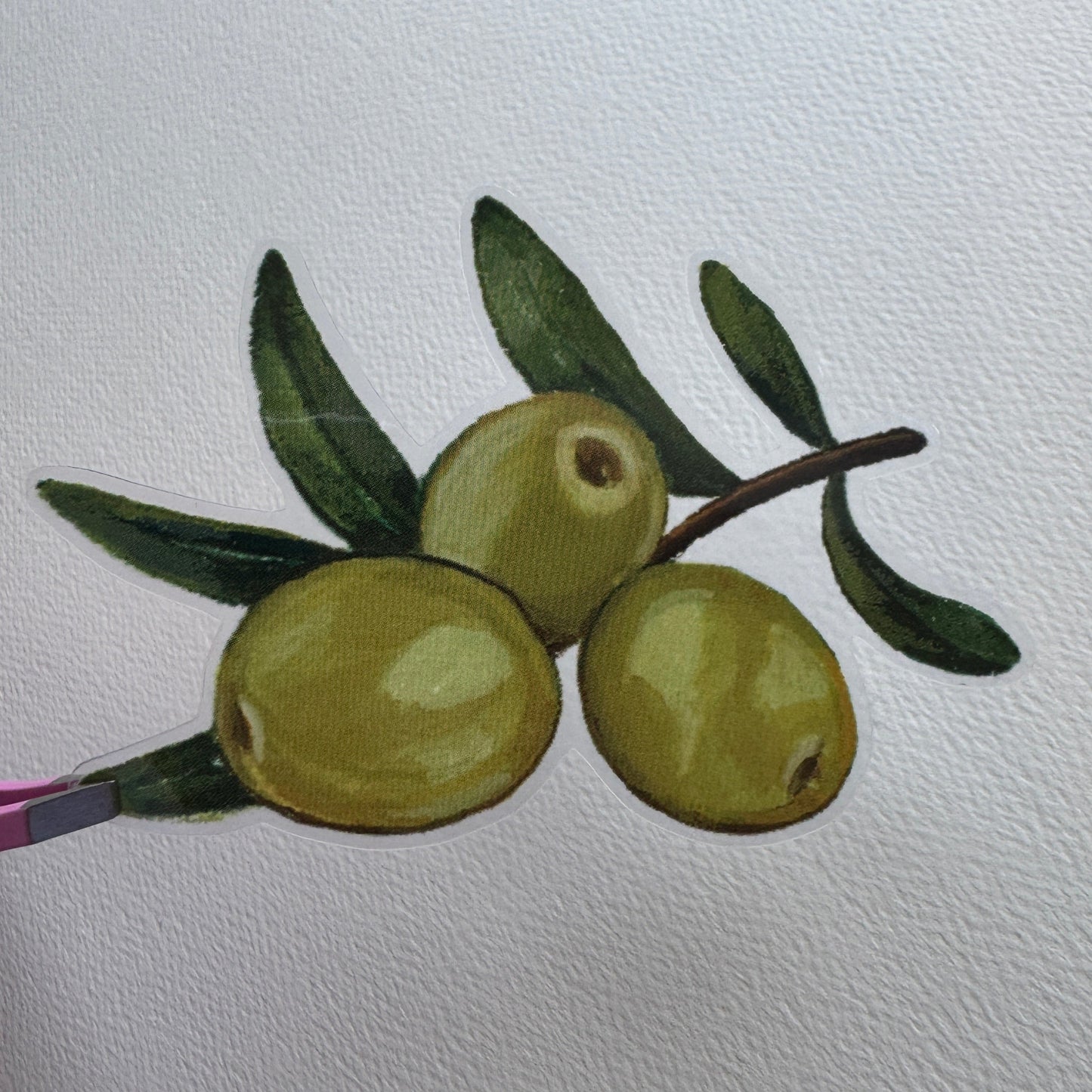 Olive Sticker
