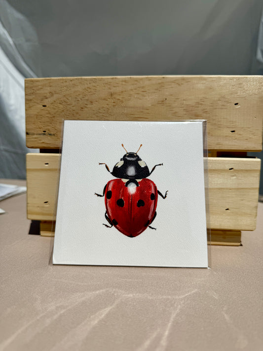 Ladybug Print