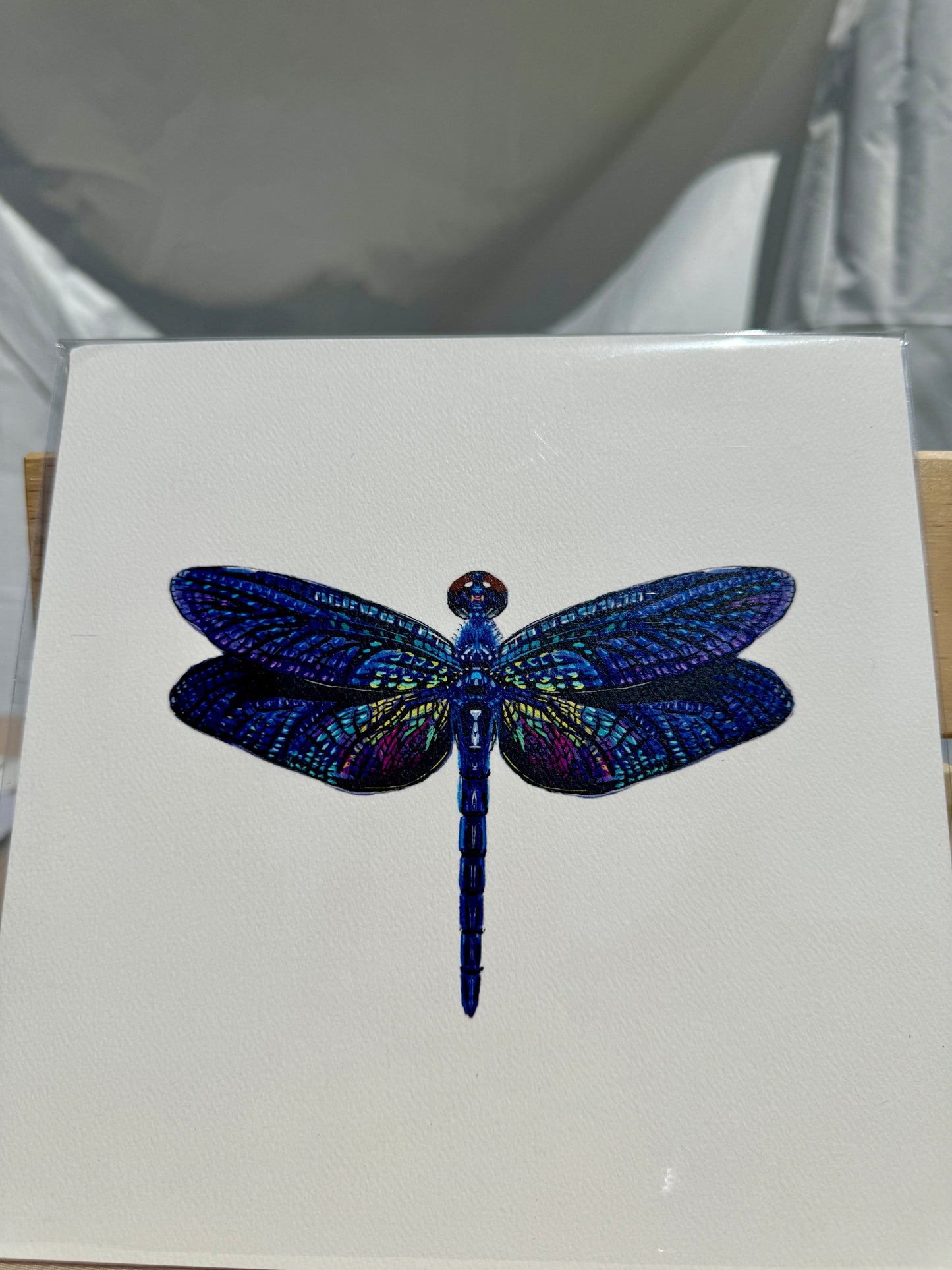 Rainbow Dragonfly Print