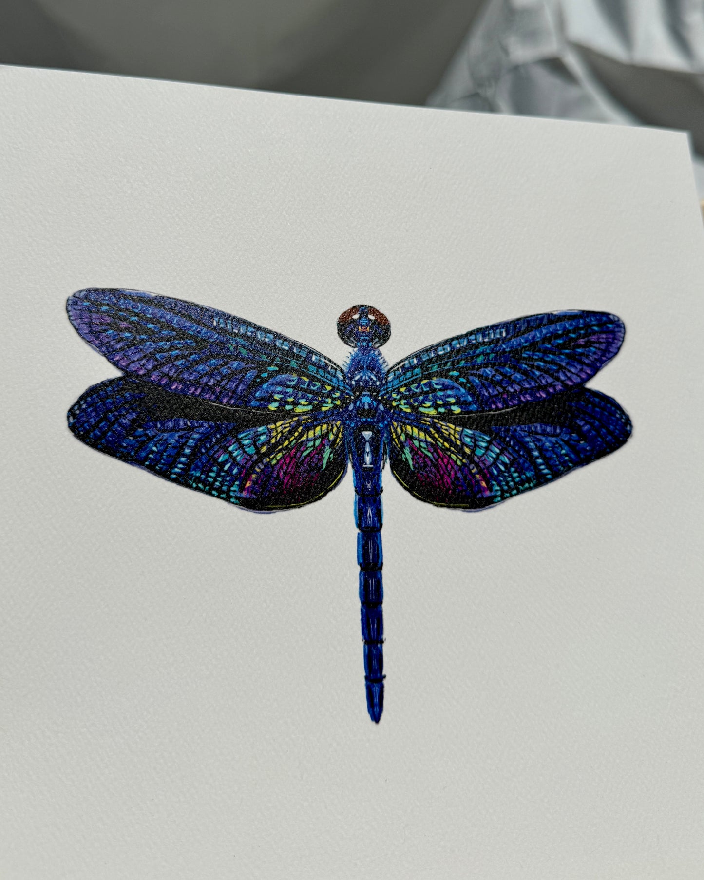 Rainbow Dragonfly Print