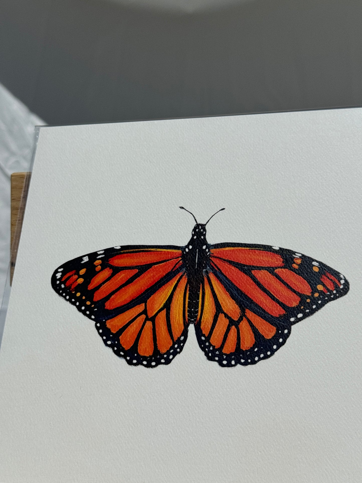 Orange Butterfly Print