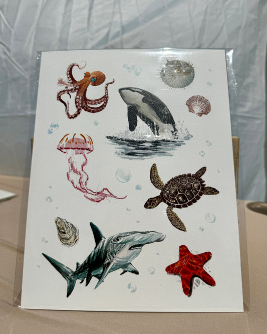 Marine Life Print