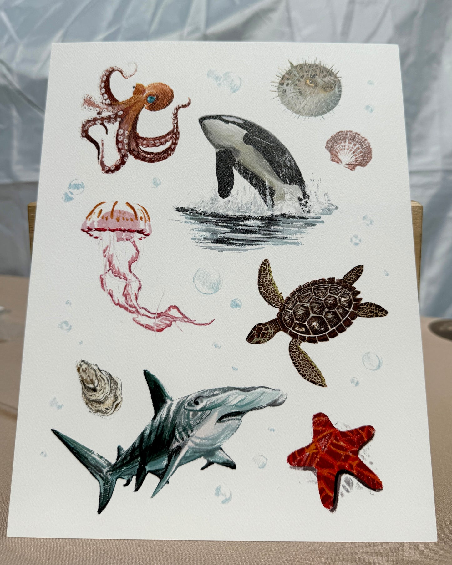 Marine Life Print